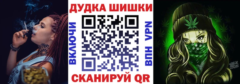 Марихуана сатива  закладки  Опочка 